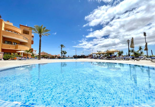 Ferienwohnung in San Miguel de Abona - Junior Suite, pool,WiFi,AC,well connected